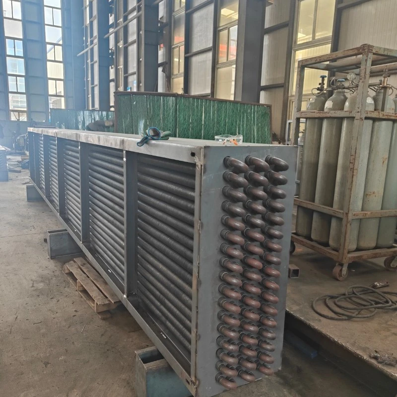 product-800-800 product-800-800